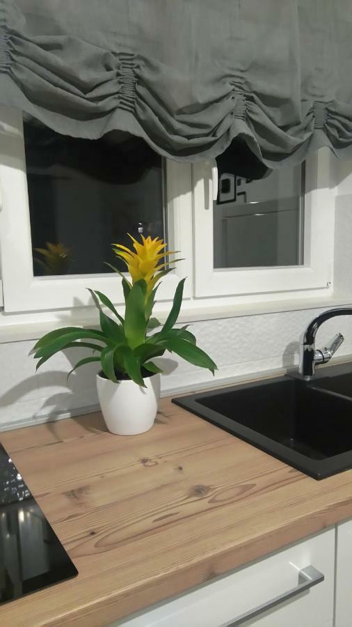 Apartment Tonka Šibenik Dış mekan fotoğraf